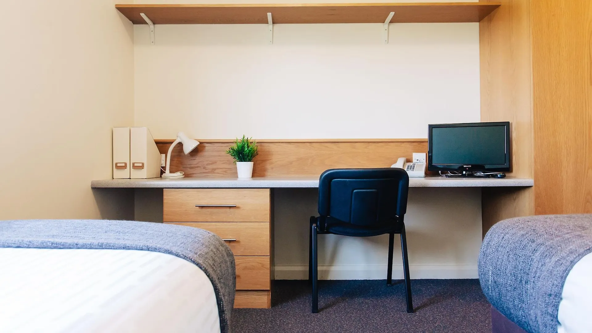 Dcu Rooms Glasnevin contacts
