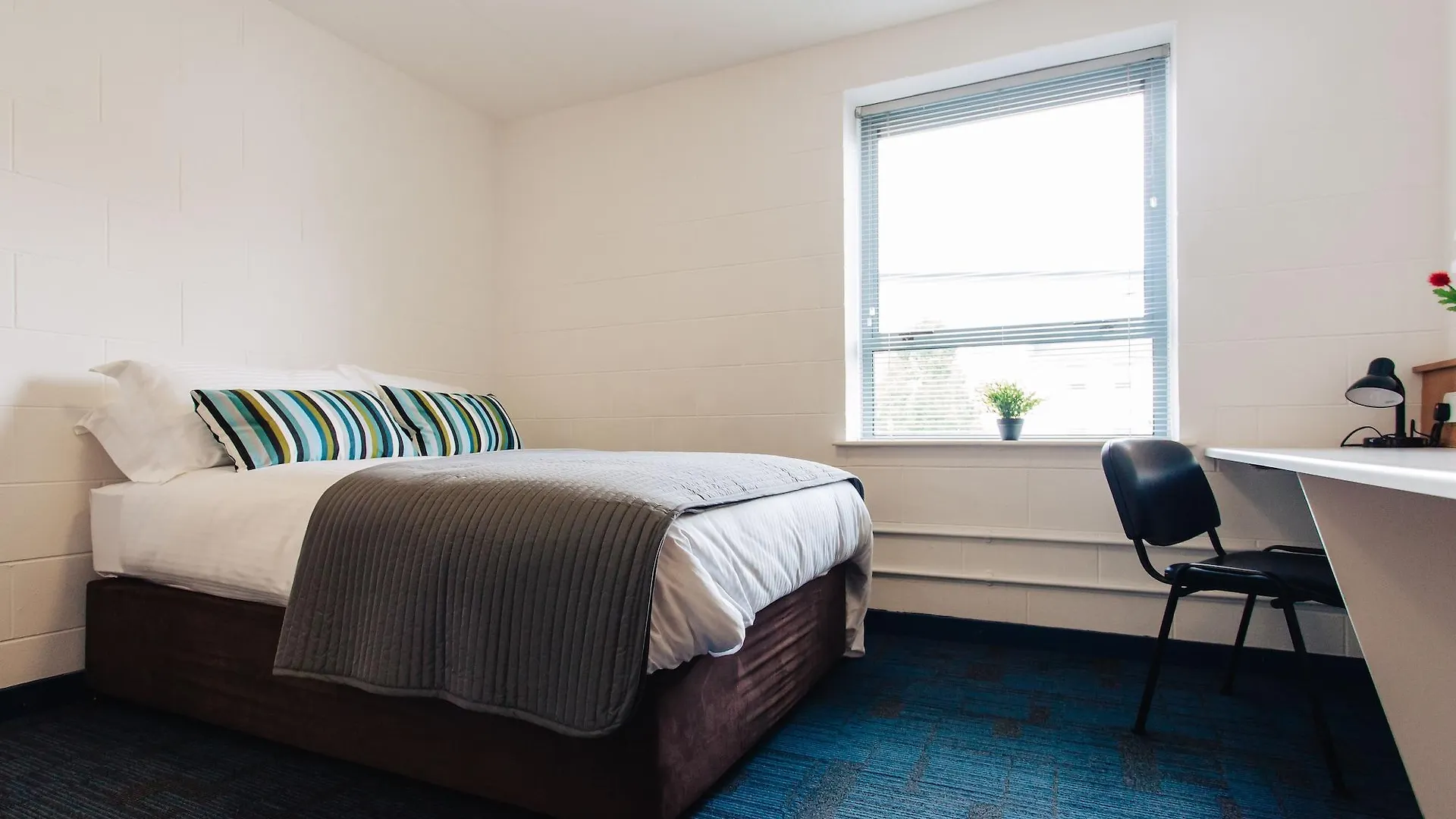Dcu Rooms Glasnevin Dublin Ireland