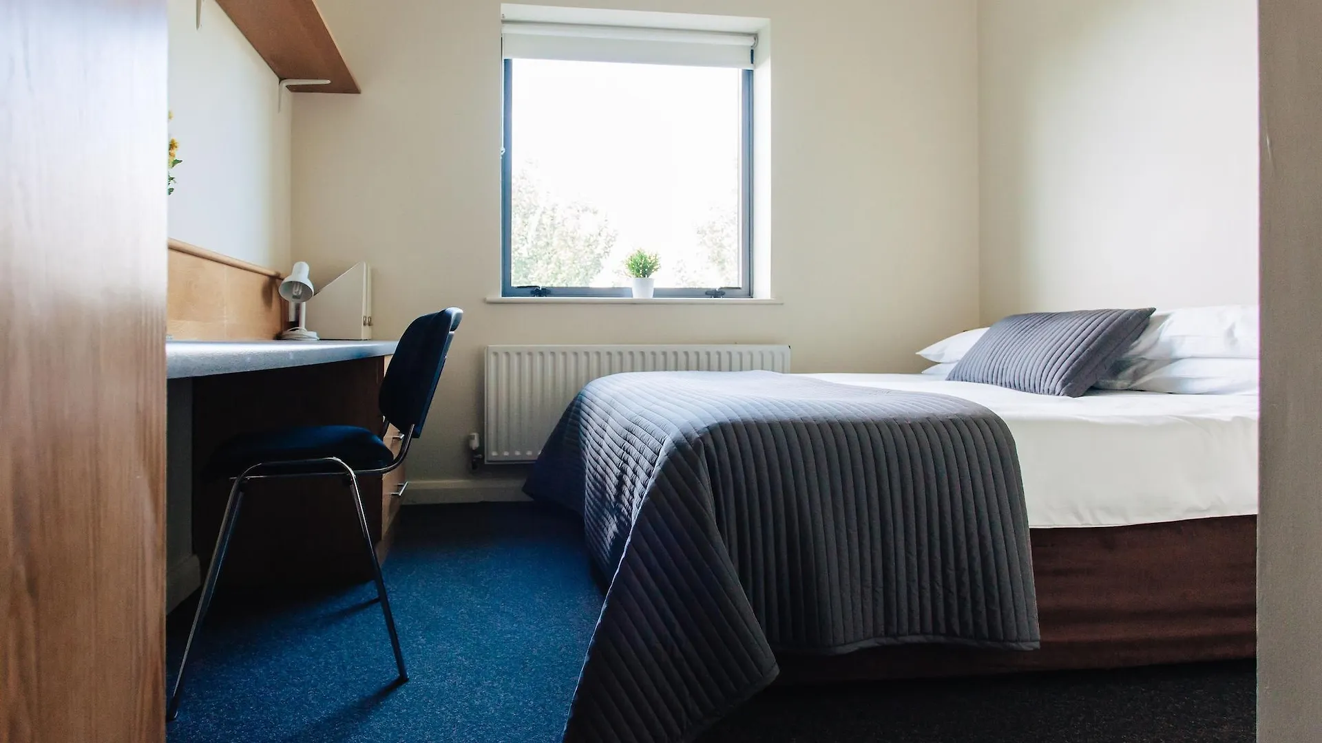 ** Hotel Dcu Rooms Glasnevin Dublin Ireland