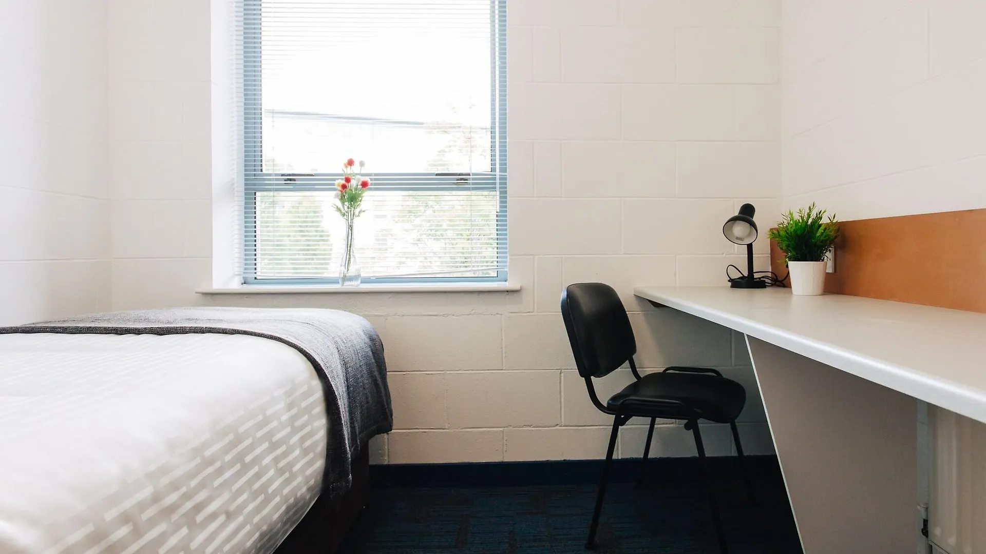 ** Hotel Dcu Rooms Glasnevin Dublin Ireland