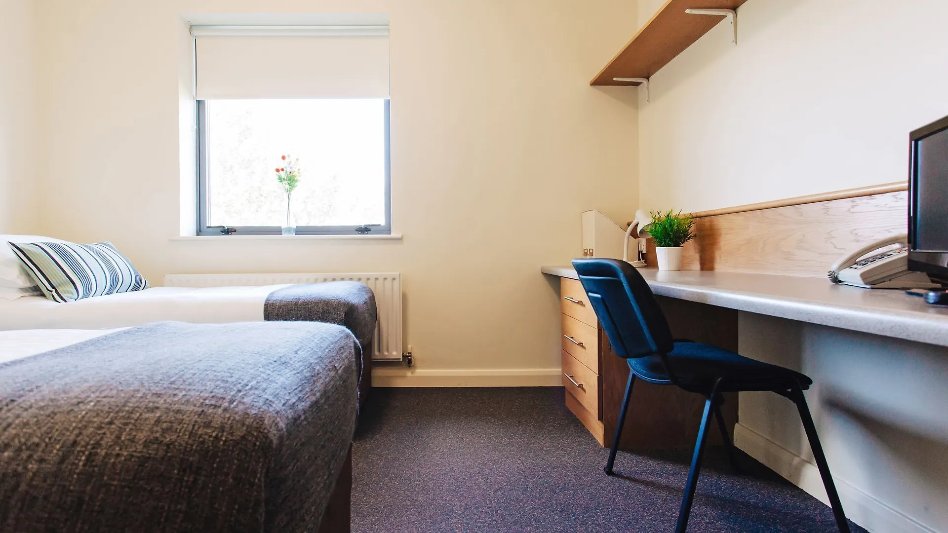 ** Hotel Dcu Rooms Glasnevin Dublin Ireland