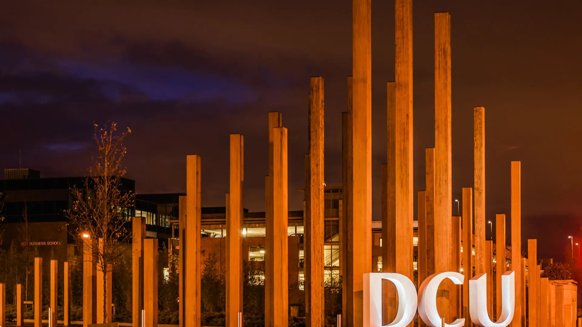 Dcu Rooms Glasnevin Dublin 2*,
