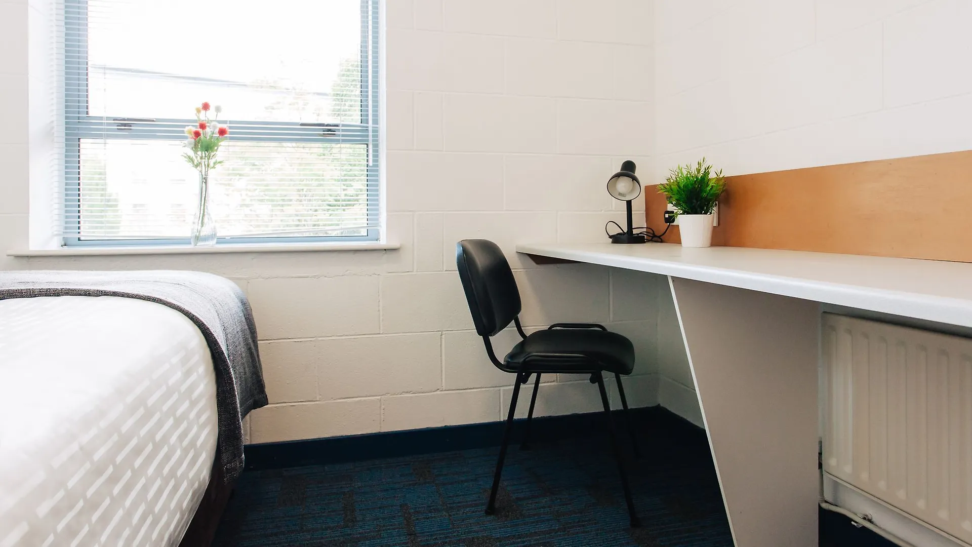Dcu Rooms Glasnevin Dublin Hotel